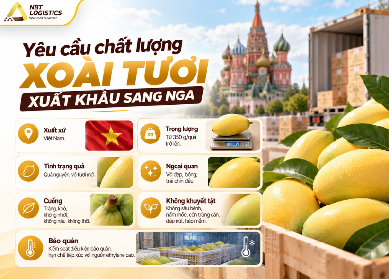 tieu-chuan-xoai-xuat-khau-sang-nga-2